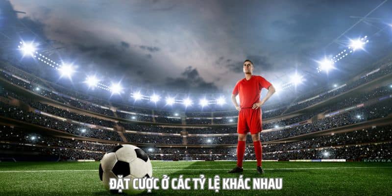 Kèo luân lưu tại Nohu90 - Kèo cược hấp dẫn hồi hộp đến từng pha sút phạt 3 Kinh nghiệm soi kèo luân lưu cực chuẩn từ cao thủ