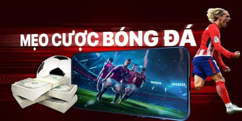 Hướng Dẫn Đầy Đủ Cách Nhận Biết Kèo Dụ Trong Bóng Đá 3 Những điều cần làm để tránh kèo dụ do nhà cái đưa ra